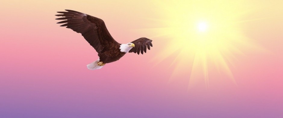 La medicina del &aacute;guila