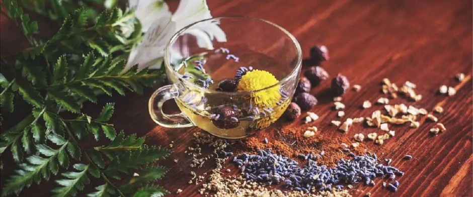 Elixires vibracionales de limpieza y protecci&oacute;n energ&eacute;ticas