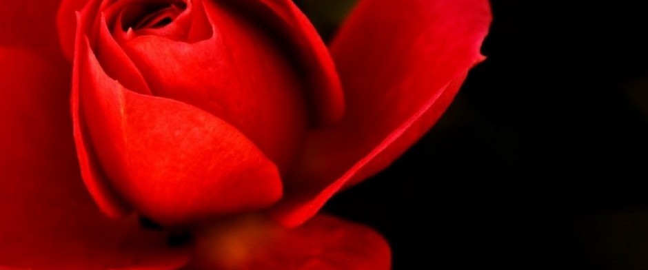 Formaci&oacute;n completa en Los Misterios de Isis: La Luna azul y el Tri&aacute;ngulo Dorado de Isis